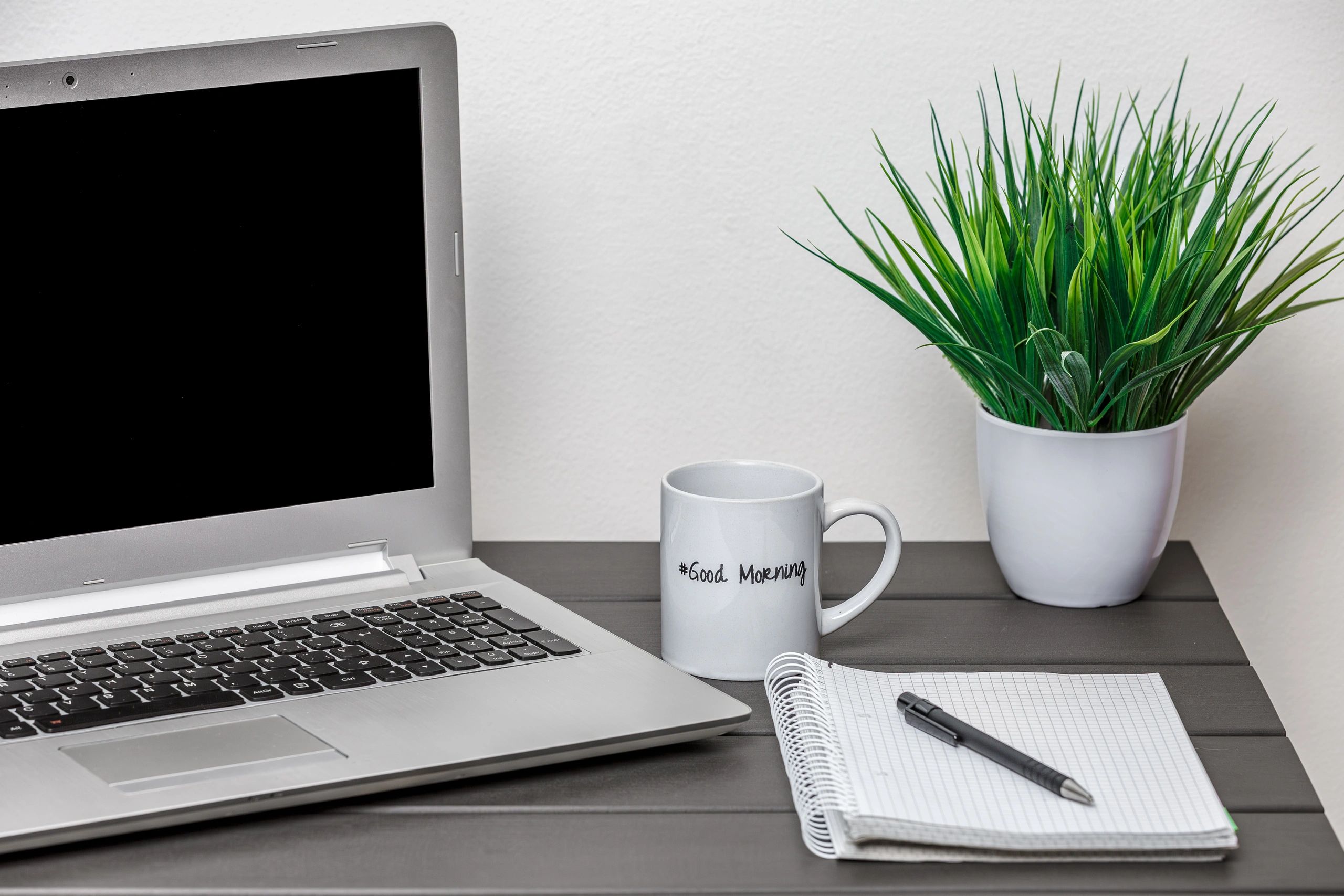 Minimal professional desk with laptop, notebook, mug, and plant